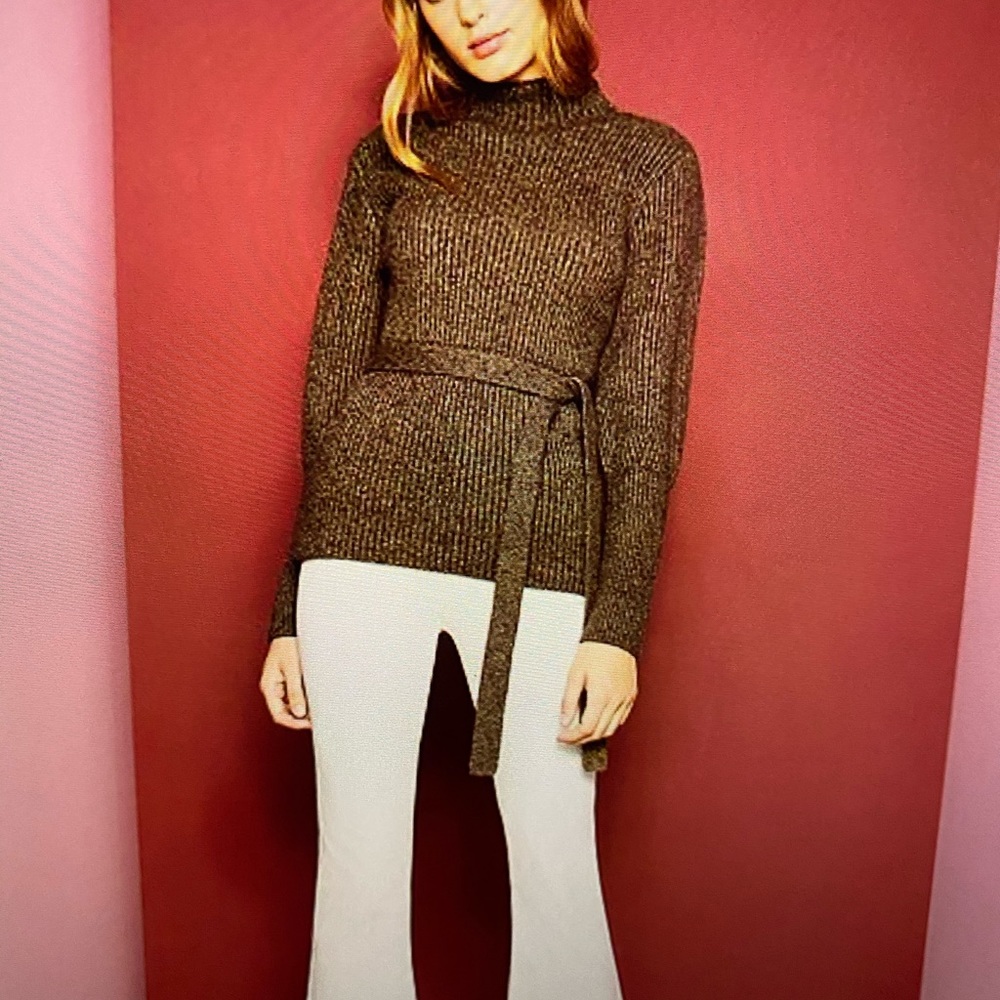 Cremieux mock neck sweater with belt.